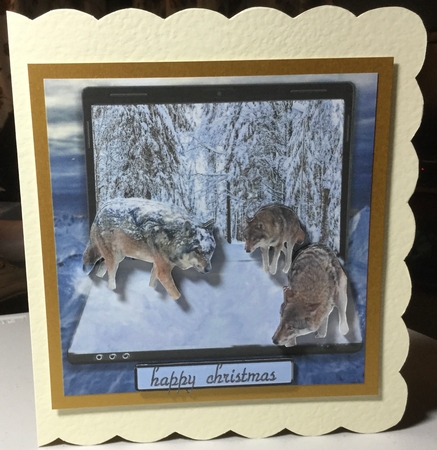 wolves in the snow by Rachel Capes