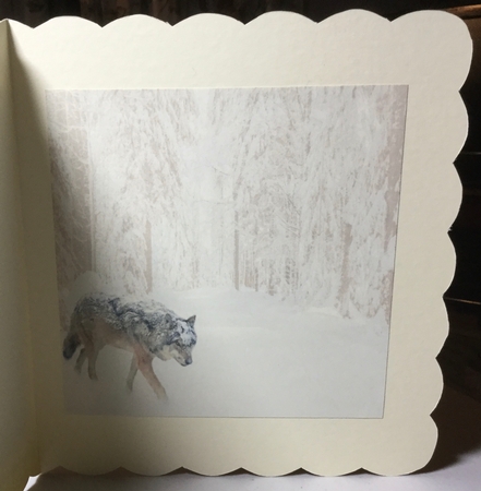 wolves in the snow by Rachel Capes