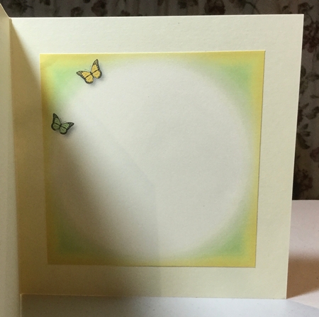 Butterfly Trio Bumper Kit by Rachel Capes