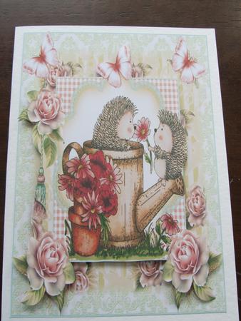 Hedgehog Popsy Card Front Kit by Rachel Edmunds
