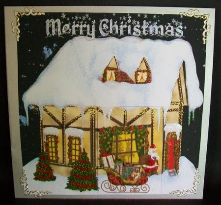 Merry Christmas House by Rae Trees