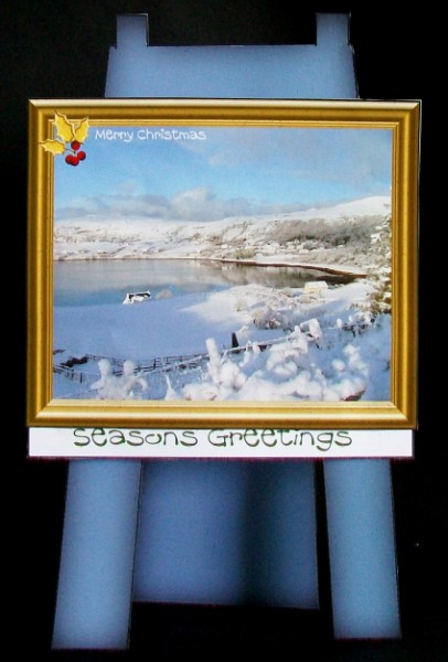 A Snowy Scene by Rae Trees