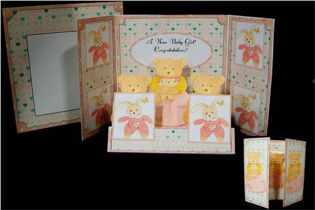Gatefold Step Card - Baby Girl Cuddly Toys by Rae Trees