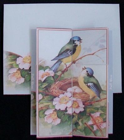 Birdsong Magic Card Set by Rae Trees