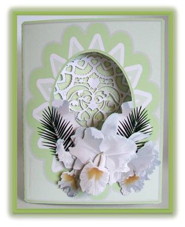 Photo Card or Open Aperture Card Pure Orchids by Rae Trees