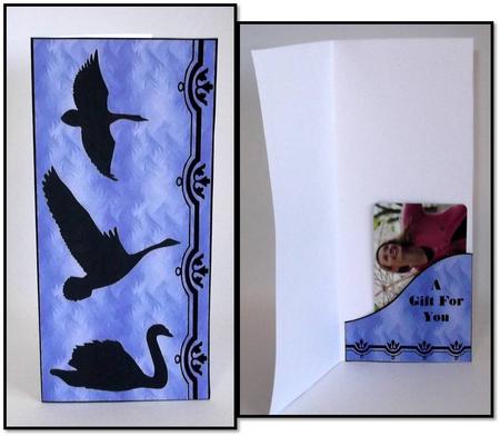 Swans Voucher Card by Rae Trees