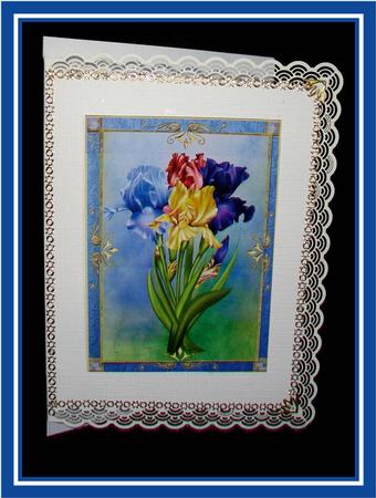 Beautiful Bunch of Irises by Rae Trees