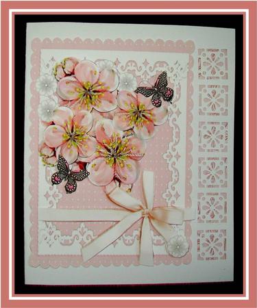 Lovely Pink Apple Blossom by Rae Trees