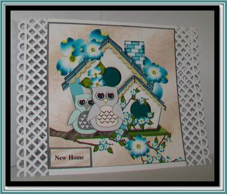New Home Owl House by Rae Trees