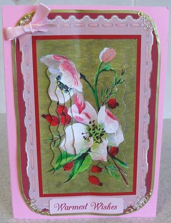 Hedge Rose and Scallops by Rae Trees