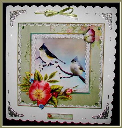 Moonlit Birds 8x8 Mini Kit by Rae Trees