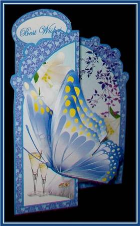 Butterfly Fold Back wedding by Rae Trees