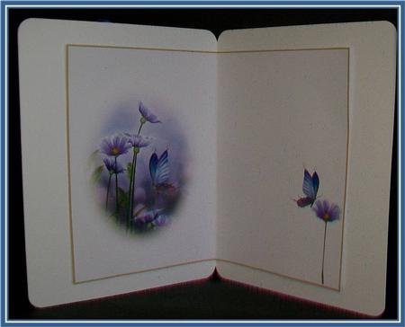 Evening Butterfly Blank Insert by Rae Trees