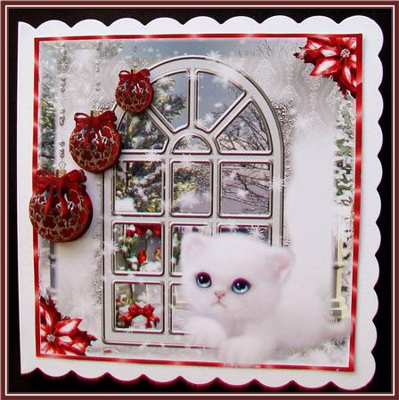 The Christmas Kitten by Window with Red Decorations by Rae Trees
