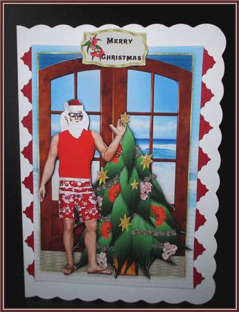 Australian Christmas Window Scene by Rae Trees