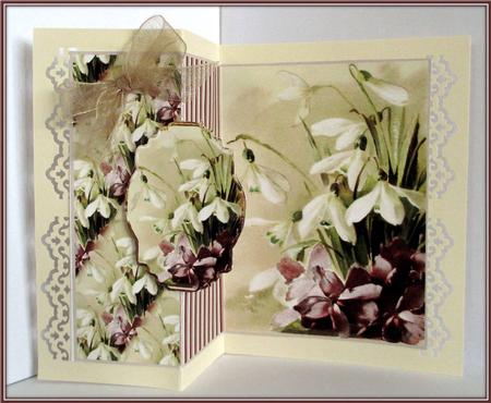First Flowers of Spring Fold Back Card by Rae Trees