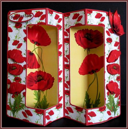 Double Window Pop Out Mini Kit - Poppy Love by Rae Trees