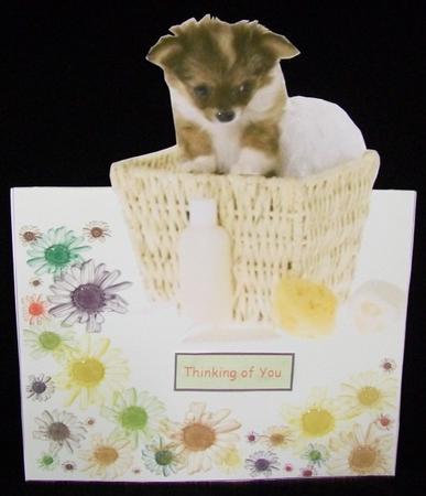 Washing Basket Pup by Rae Trees