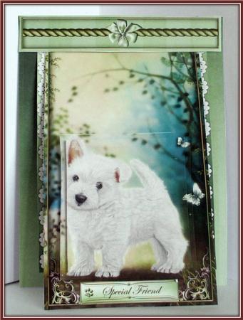 3 in 1 Paw Prints by Rae Trees