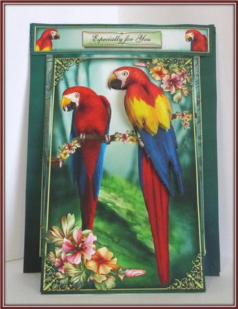 3 in 1 Parrots Paradise by Rae Trees