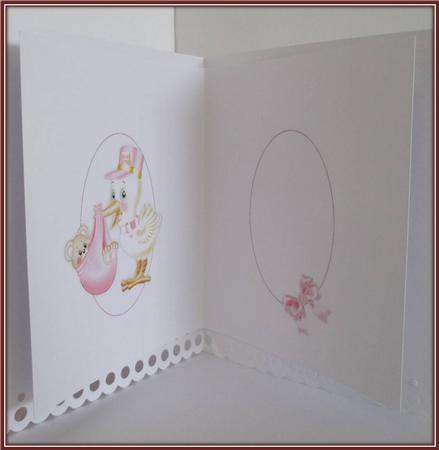 The Stork Delivers New Baby Girl Insert by Rae Trees