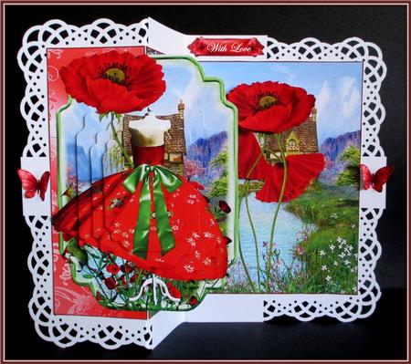 No Holes Fold Poppy by Rae Trees