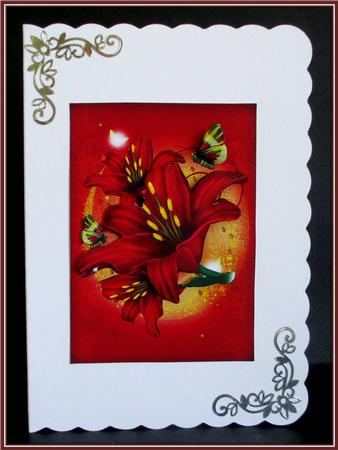 Beautiful Red Lily by Rae Trees