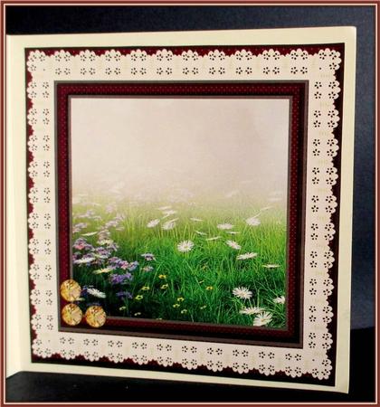 In the Meadow Broderie Frame Insert by Rae Trees