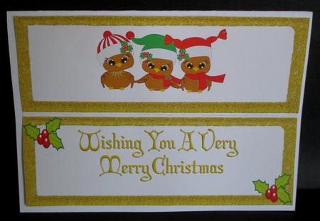 Cute Owls in Christmas Hats Dl Insert by Rae Trees