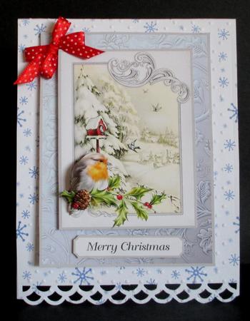 Robin, Holly & Birdhouse by Rae Trees