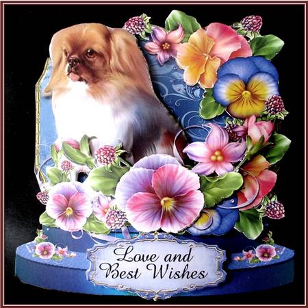 Cute Pekingnese and Pansies Shaped Card Plus Gift Card by Rae Trees