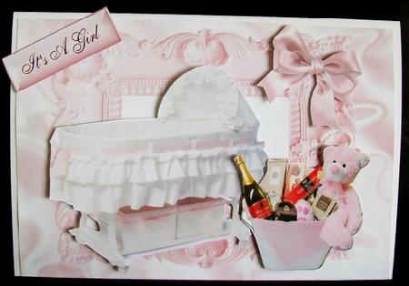 Baby Girls Moses Basket & Accessories by Rae Trees