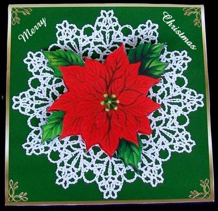 Red Poinsettia on Lace 3 by Rae Trees