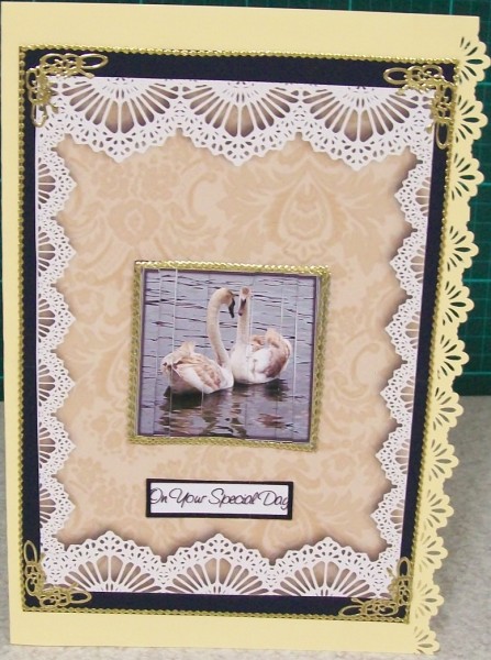 Vintage Cream Damask Lace Blank Card by Rae Trees