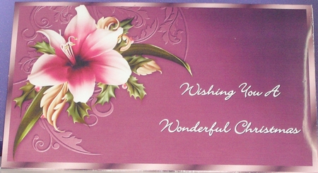 Festive Amaryllis - Christmas Money Gift Envelope by Rayleen Bailey
