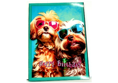 A4 - Sunglasses Dogs by Rayleen Bailey