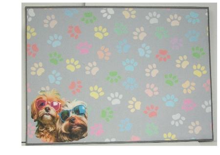 A4 - Sunglasses Dogs by Rayleen Bailey