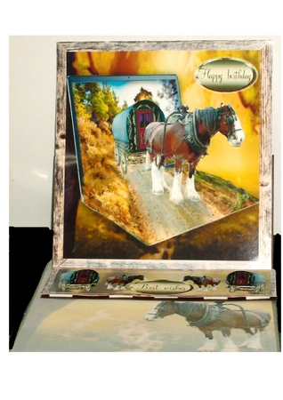 shire horse by Rayleen Bailey