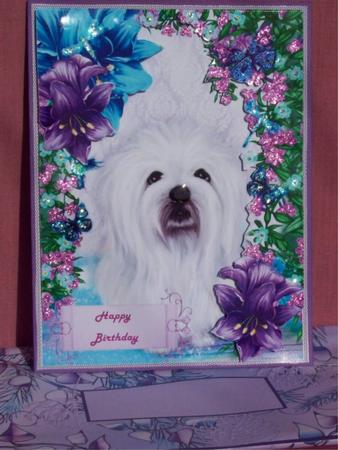 Little White Westie in Purple/turq Flowers A4 by Rayleen Bailey