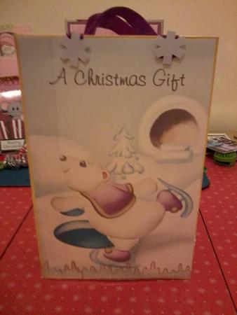 In the Snow Gift Bag by Rebecca Polding