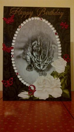 A4 Sweet Little Kitten 5 by Rebecca Polding