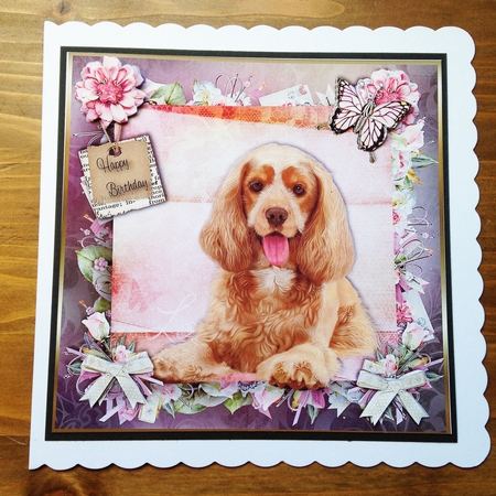 Happy Birthday Bumper dog A4 toppers by Rebecca Ruff