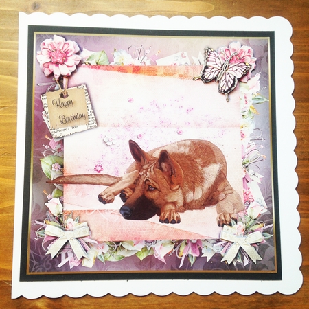 Happy Birthday Bumper dog A4 toppers by Rebecca Ruff