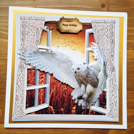 flying visit  by Rebecca Ruff
