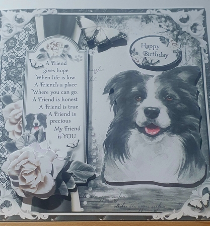 The Border Collie by rebecca  Weates