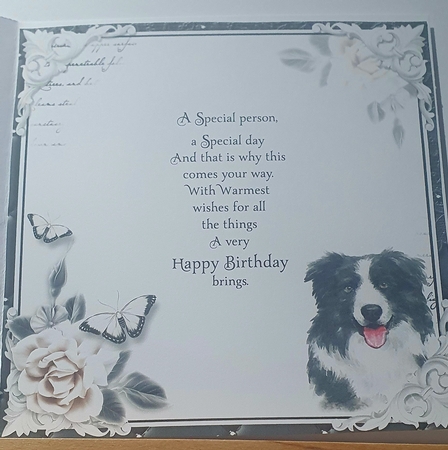 The Border Collie by rebecca  Weates