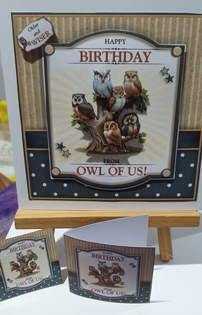 Older and Wiser by rebecca  Weates