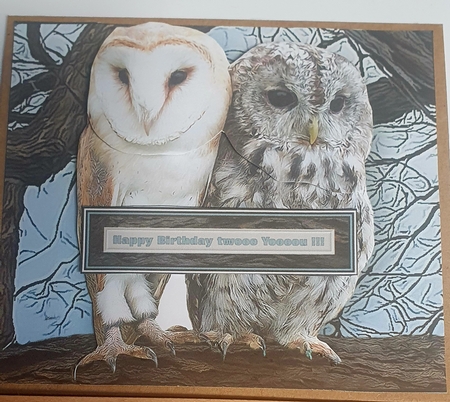 Barn Owl & Tawny Owl 3D Decoupage by rebecca  Weates