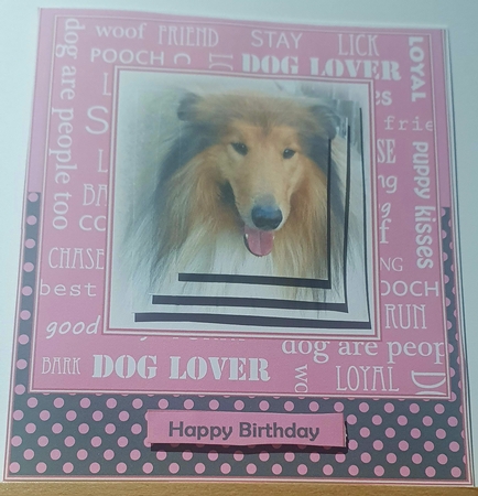 Collie - Dog Lover by rebecca  Weates