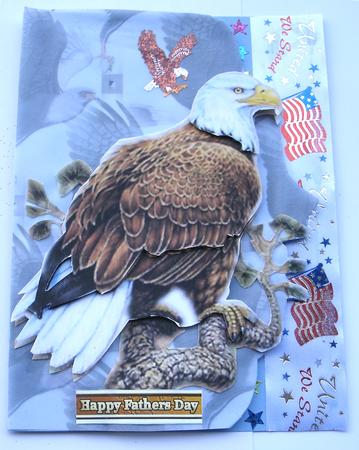 Eagle Vellum by Redonda Haddock